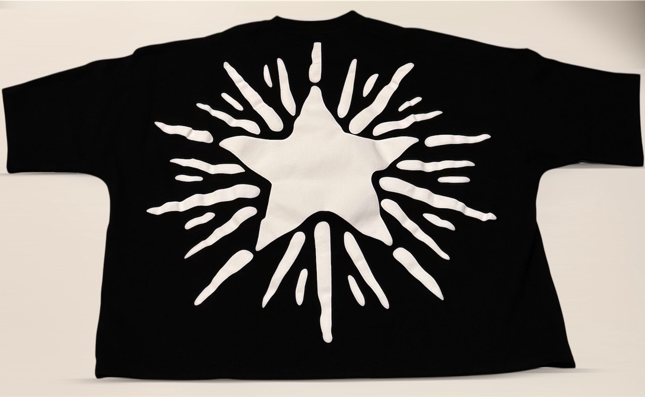 Wealthy Strangers Oversized Cropped Graphic Tee