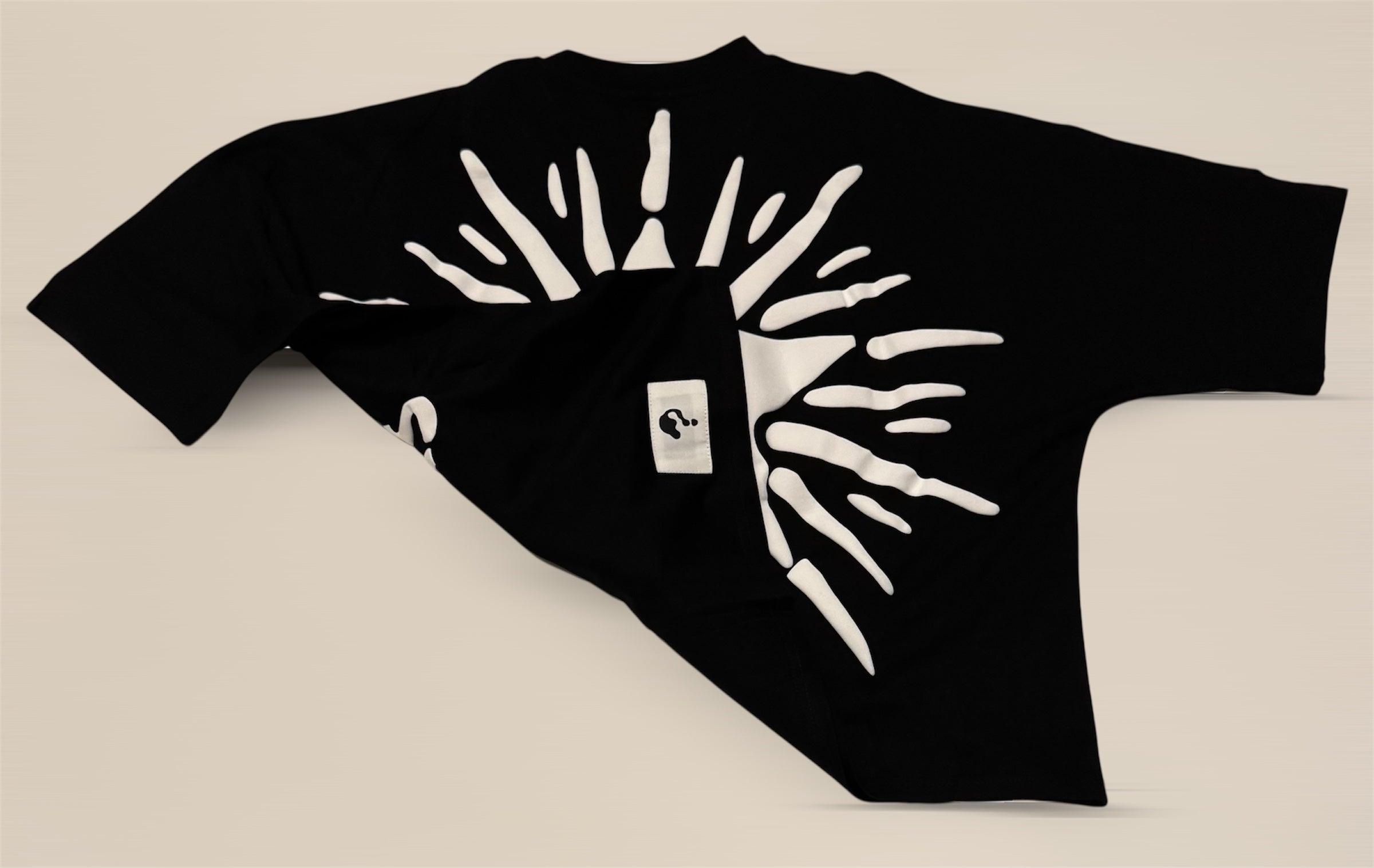 Wealthy Strangers Oversized Cropped Graphic Tee